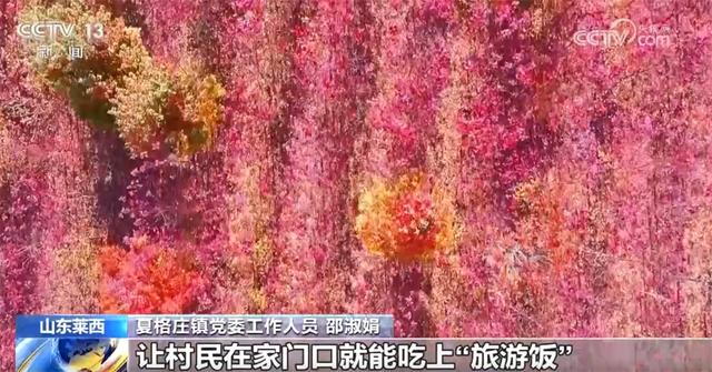 特色“赏秋游”澎湃“秋日经济”新动能 “文旅+”成为激发消费新引擎