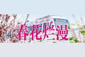 清凉寨早樱进入盛花期，你可以这样花式赏樱图片