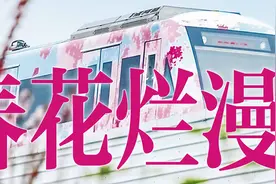 一朵樱花“沸腾”东湖，春季近91万游客为东湖樱花而来图片