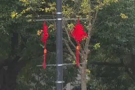 小寒过后寒意明显，下周将迎近期最冷一天图片