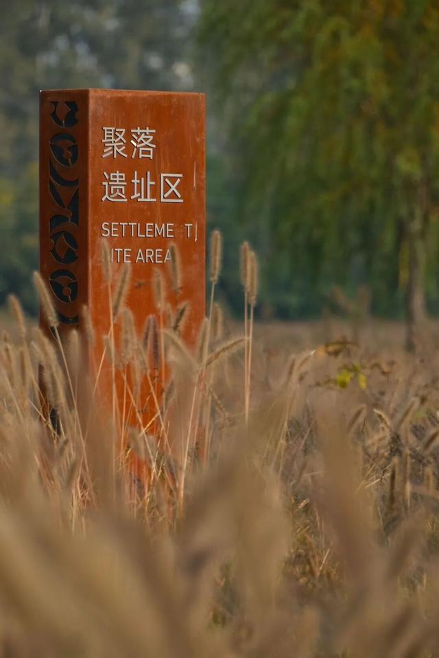 开放预约！大河村国家考古遗址公园即将开园