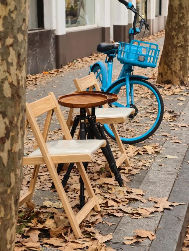 静安落叶景观道已就位！限时“治愈系地毯”已铺好，周末散步指南→