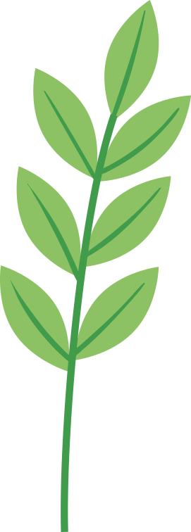 漾濞是“世界核桃起源地”！有五个维度可为证……