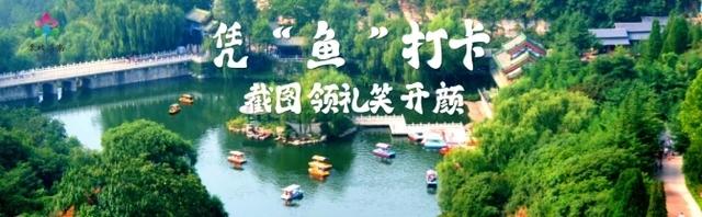 泉城“鱼”乐大联欢 “好客山东”摆盛宴
