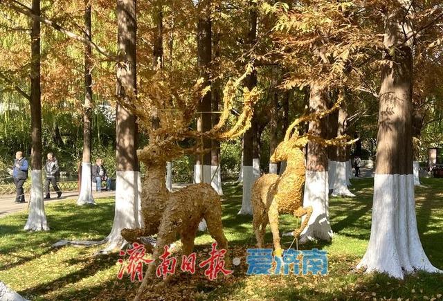 一年四季 泉在济南丨落叶绘“萌鹿”  济南五龙潭打卡冬日限定浪漫