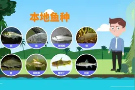 有序放生，保护河湖生态图片