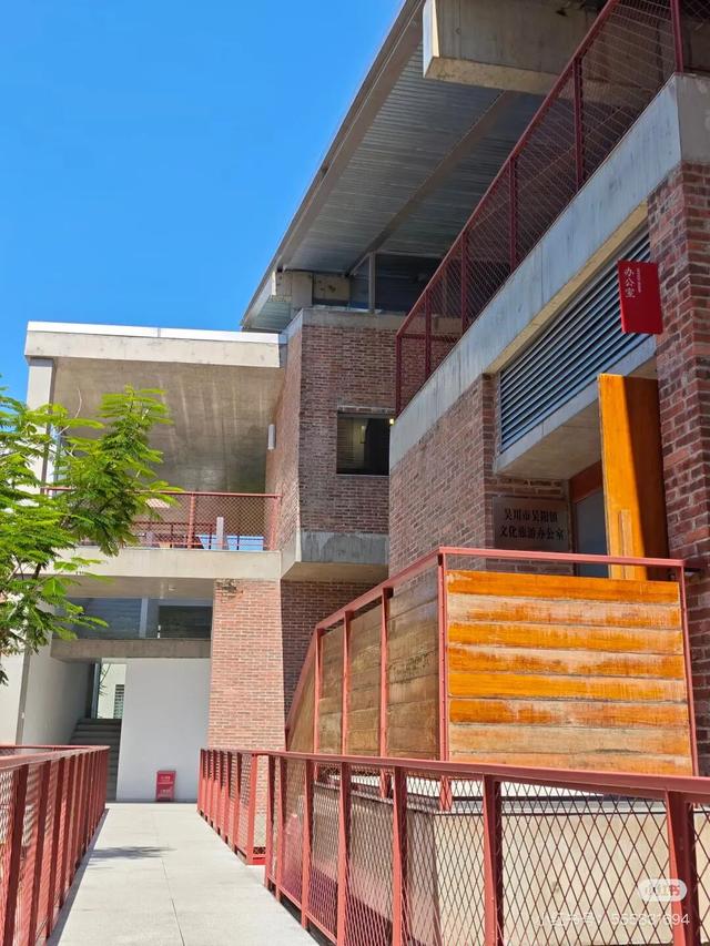 花海走起！湛江秋日限定打卡点！