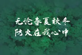 938名！三江新区人才引进（招聘）公告图片