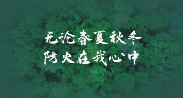 省级名单公布！宜宾2处入选