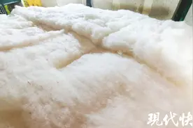 弹棉花老手艺重焕新生！今冬，你拥抱这份温暖了吗？图片