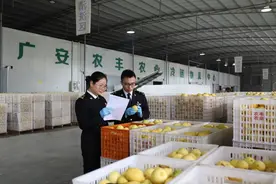 一季度四川鱼油、柠檬出口全国第一图片