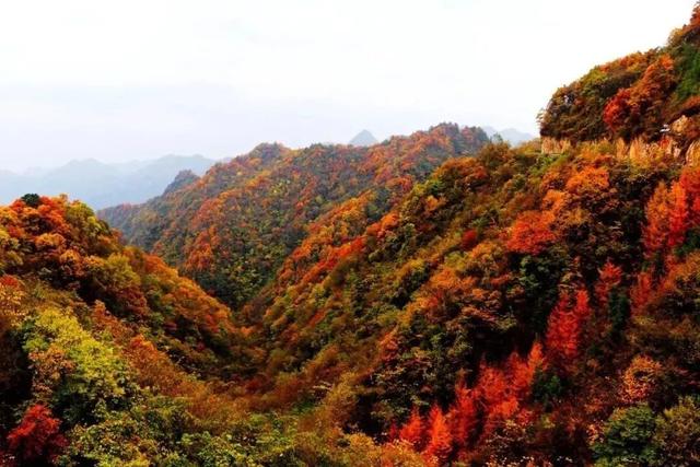 2025保康秋游季，邀您共赏山色如画