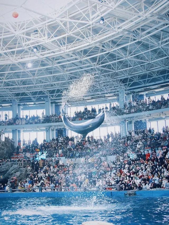 朱家尖景区免门票！这类人可享→