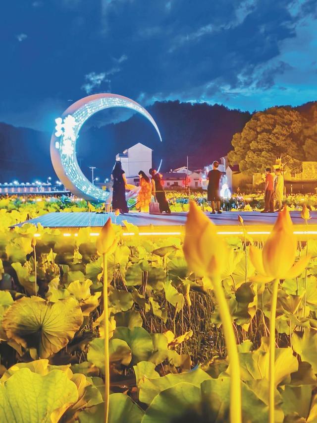 亲“荷”力满分！浙江“荷花经济”绽放暑期新亮点