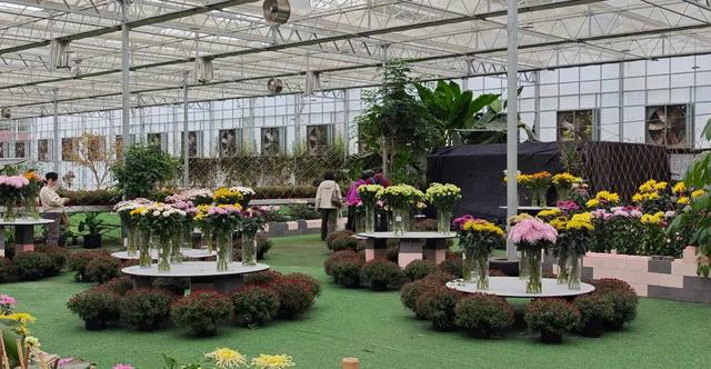 限时开启！花展进行中，还可以带回家→