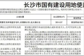 长沙市国有建设用地使用权网上挂牌出让公告图片