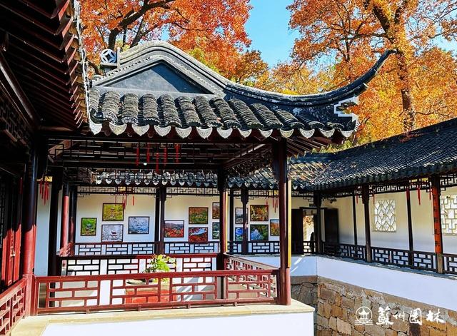 巅峰观赏期已至！中国四大赏枫胜地首次联动直播