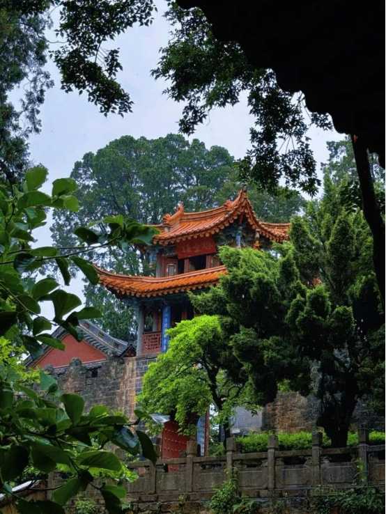速冲！“森呼吸巴士”解锁大世博生态旅游N种快乐