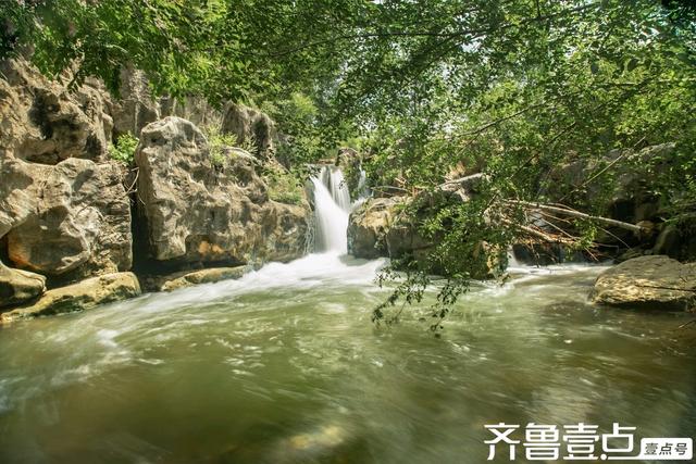 秀山东｜凤凰村：藏在济南身边的“绿野仙踪”/秦臻.大象