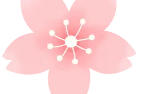 起猛了！一夜之间，奉贤新城→花海！图片