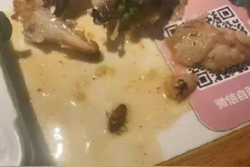男子家中烹制蟑螂后在餐厅投放索赔图片