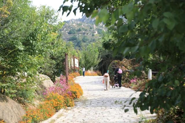 北京唯一！这座“中国历史文化名镇”上新“文旅地标” | 周末京郊微度假