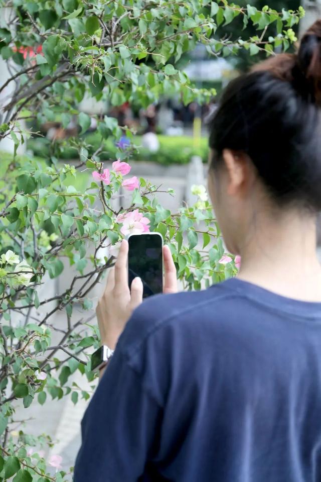 谁说秋天是黄色的？攀枝花的秋天，偏偏与众不同……