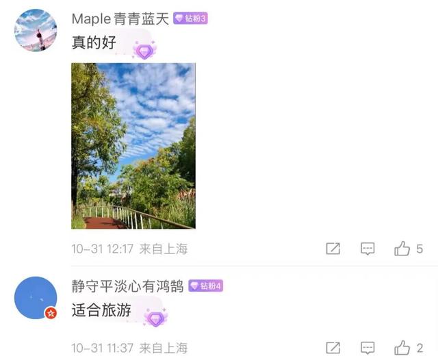 最新资讯-真乱了！确认回归！接下来的上海，就一个字…(5)