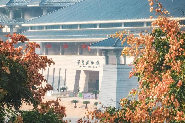 鄂州元旦去哪玩？这100+场活动速收藏！