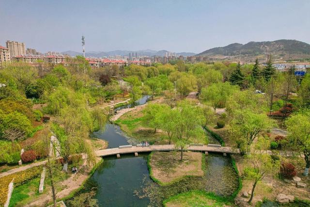 李村河畔，春和景明