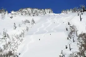 中国游客滑雪窒息身亡，粉雪有多险图片