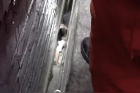 14岁女孩被卡墙缝，贵州正安消防紧急救援图片