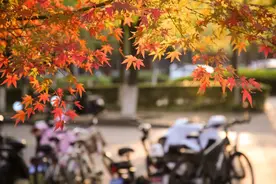 华政园2025年部分节假日放假安排！图片