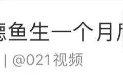 沪一女子突然持续发烧，原因竟是……医生：潜伏期可能长达几年！网友：不敢吃了！图片