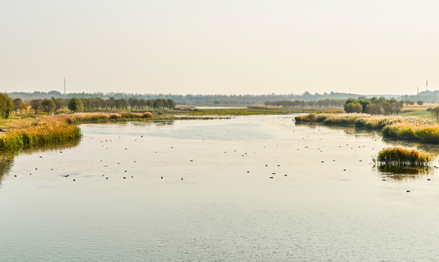 开放啦！副中心醉美秋色等您入画~