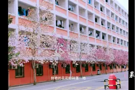 寻找山东最美大学|山东政法学院张依琳：《点滴山政》图片