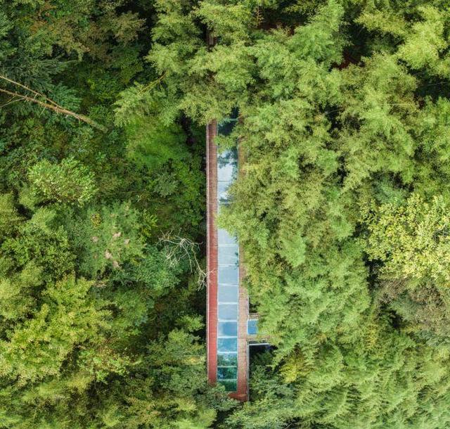 这个冬天，到贵州赴一场色彩之约