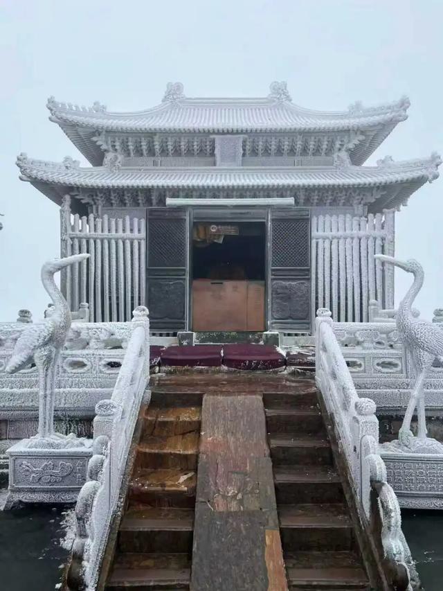 不是雪，却比雪更梦幻！