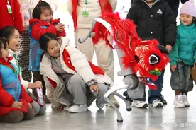 吉祥中国年 | 机器狗“舞狮”闹新春图片