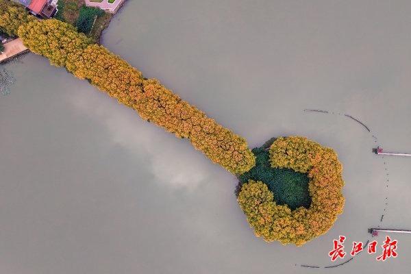 东湖里藏着一把“金钥匙”