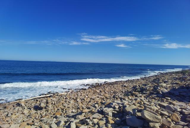 免签首日，赴俄旅游咨询“炸”了！旅行社老板：“凌晨两三点还有人问”，连夜锁定200间房，计划包一整年！