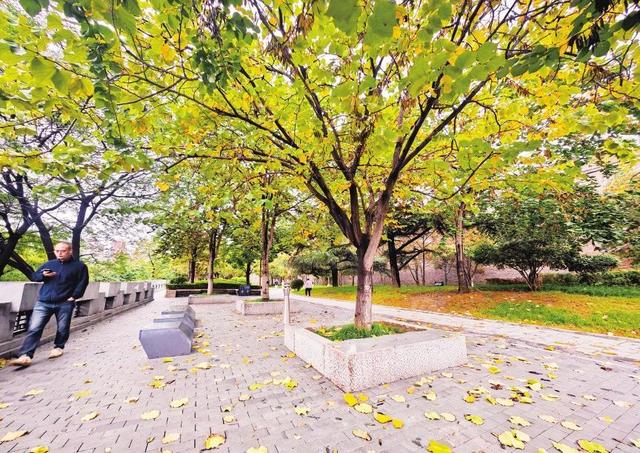 五彩斑斓好个秋