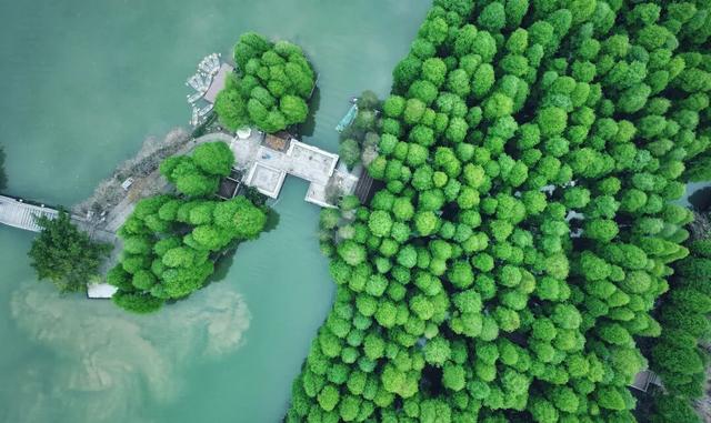 重磅福利！全运会期间，这些人可免票进入星湖景区→