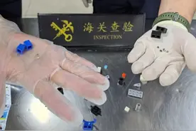 7粒大麻种子藏于积木玩具盒中，被海关查获图片