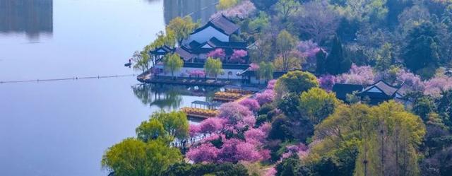 莫愁湖的四时美景，你见过多少？