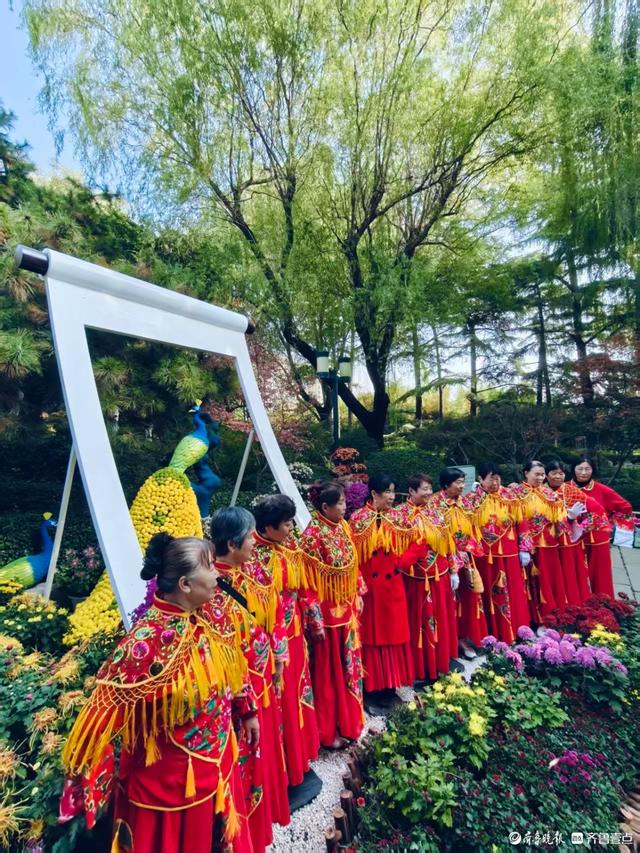 秋高气爽，济南观泉赏菊好时光