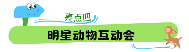 “奇幻动物城”上线！森林巡游、萌宠互动、气模打卡……欢乐不停歇！