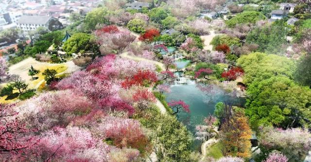 刚刚公告！无锡梅园 临时闭园