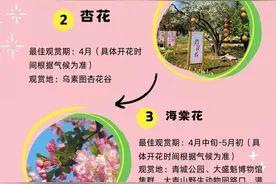 青城春日“寻芳指南”：漫游花海热门打卡地图图片