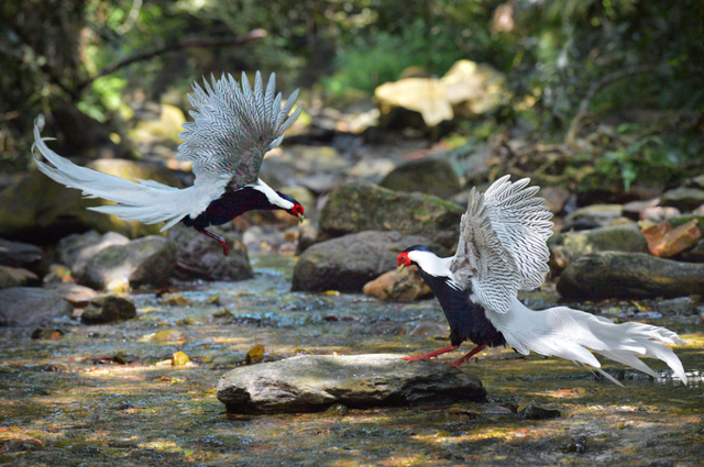 最近，星湖美景亮相广州！你发现了吗？